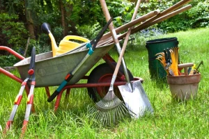 Holdridge Home & Garden