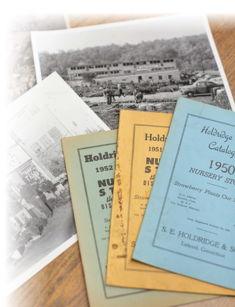 Holdridge Home & Garden
