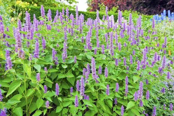 Holdridge Home & Garden