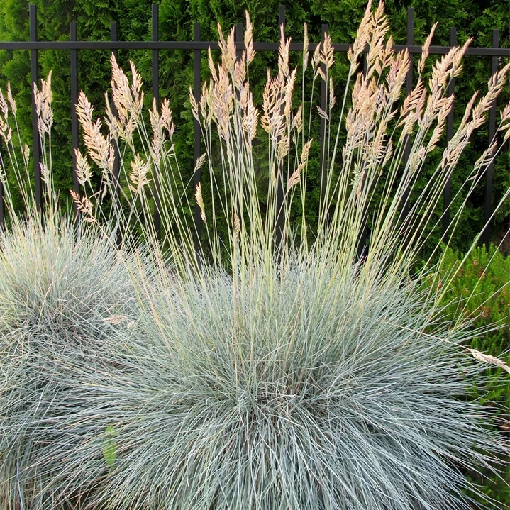 Holdridge Home & Garden
