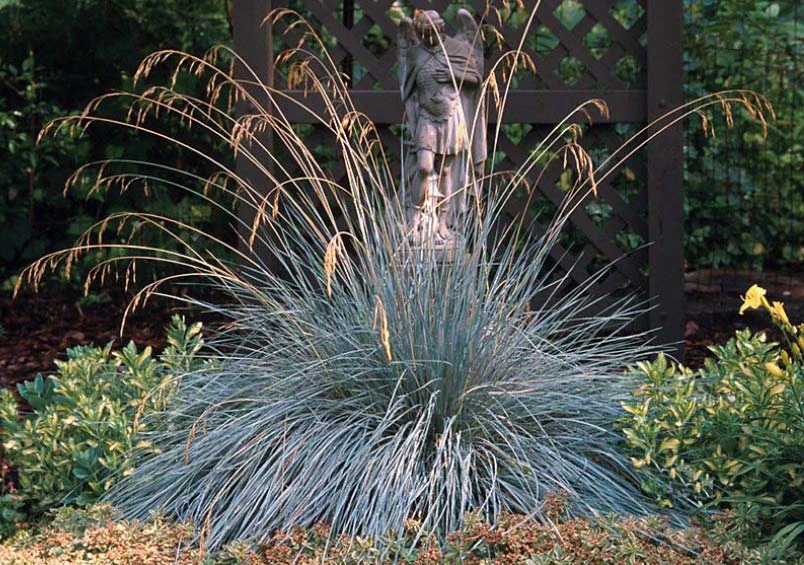 Holdridge Home & Garden