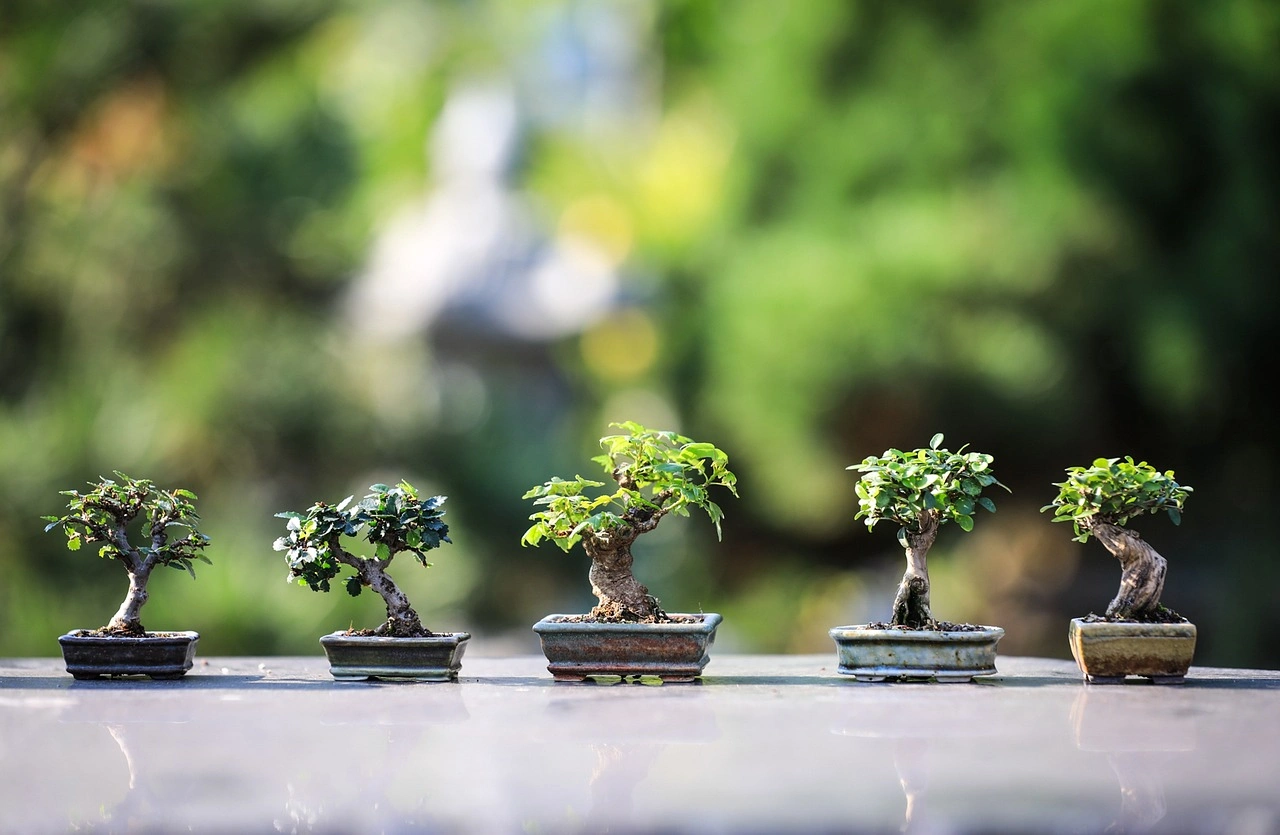 Holdridge Home & Garden