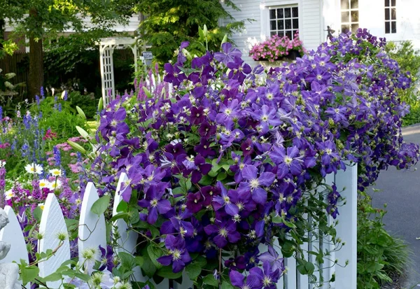 Holdridge Home & Garden