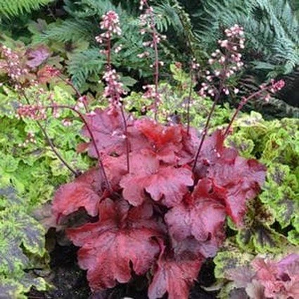 Holdridge Home & Garden