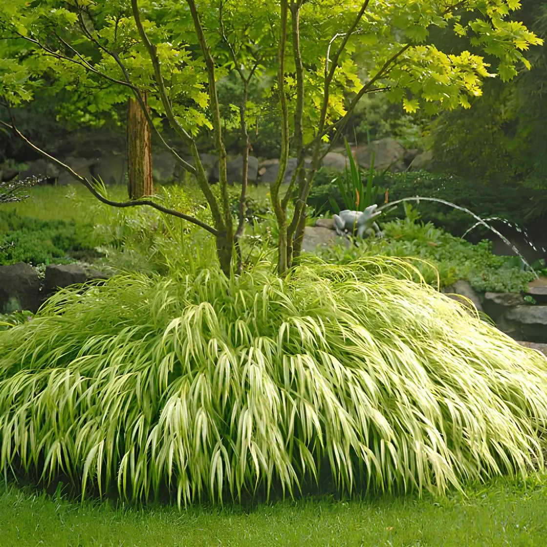 Holdridge Home & Garden