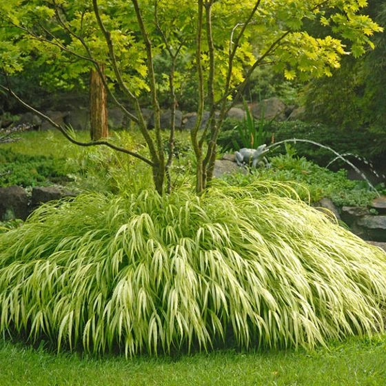 Holdridge Home & Garden