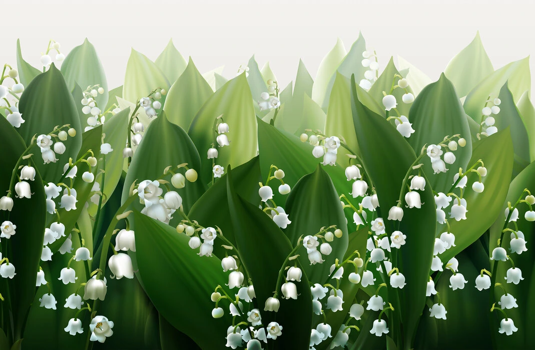 Holdridge Home & Garden