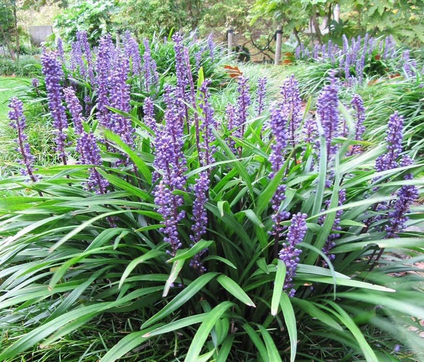 Holdridge Home & Garden