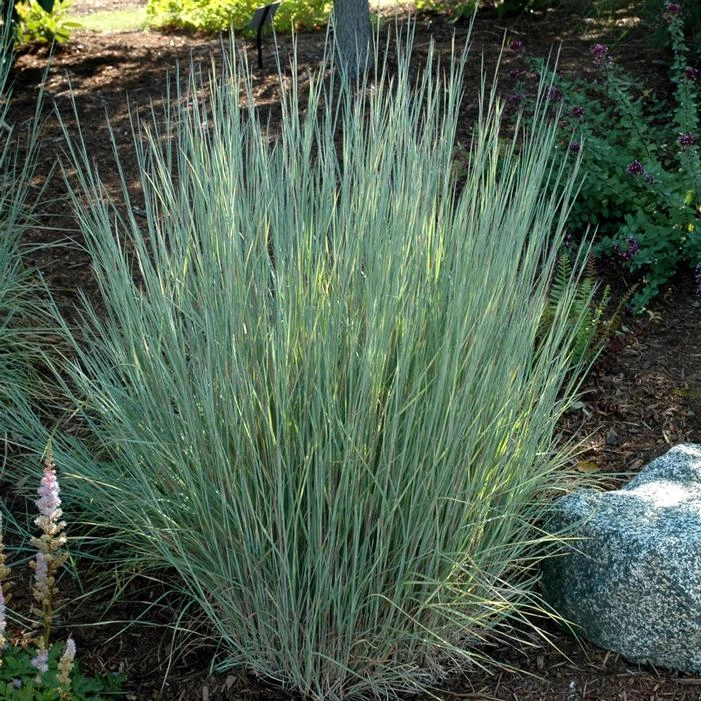 Holdridge Home & Garden