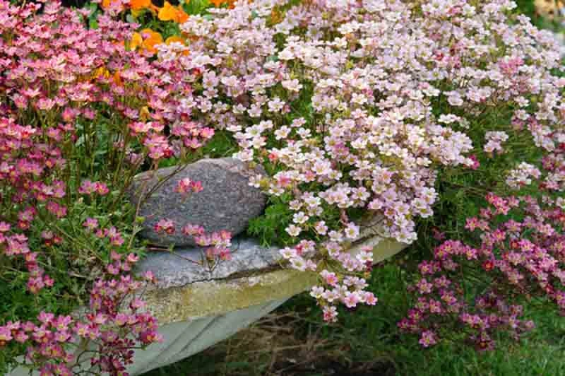 Holdridge Home & Garden