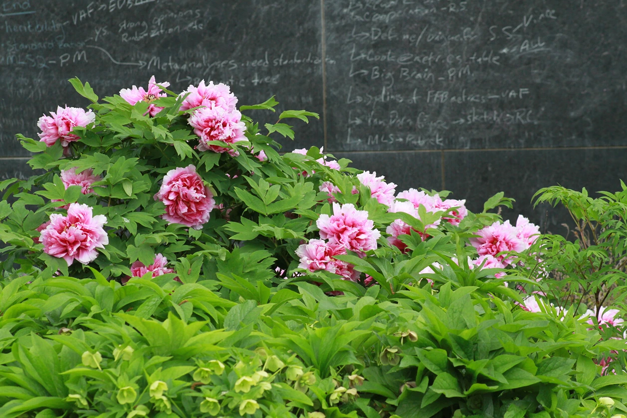 Holdridge Home & Garden