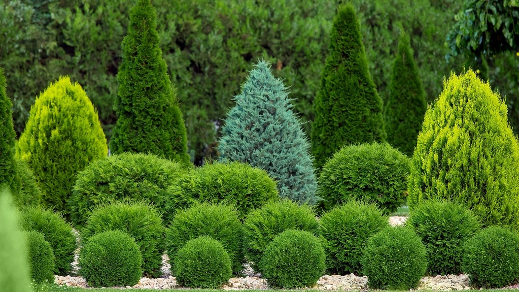 Holdridge Home & Garden