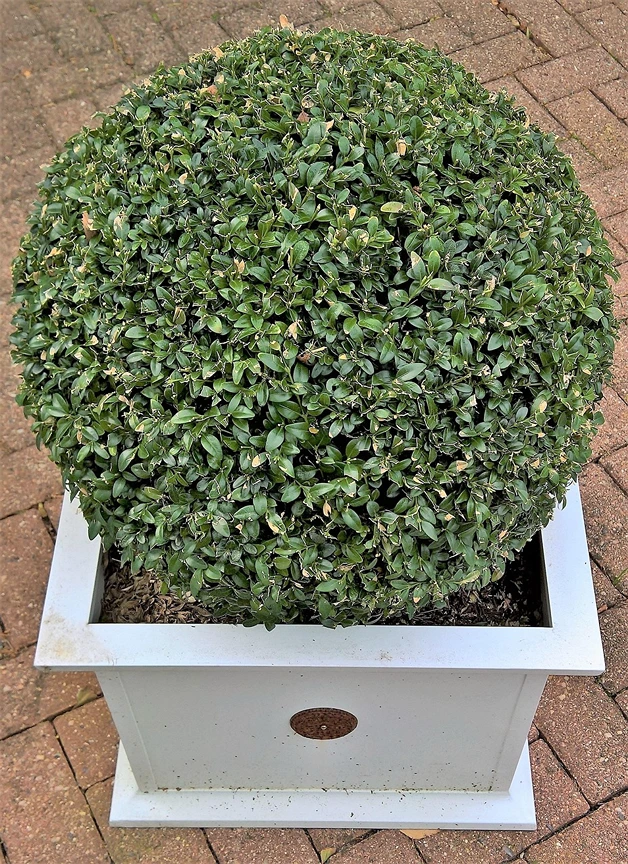 Holdridge Home & Garden
