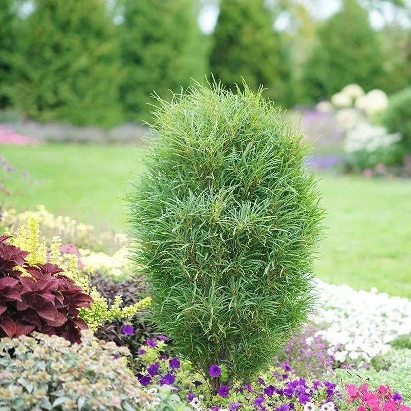Holdridge Home & Garden