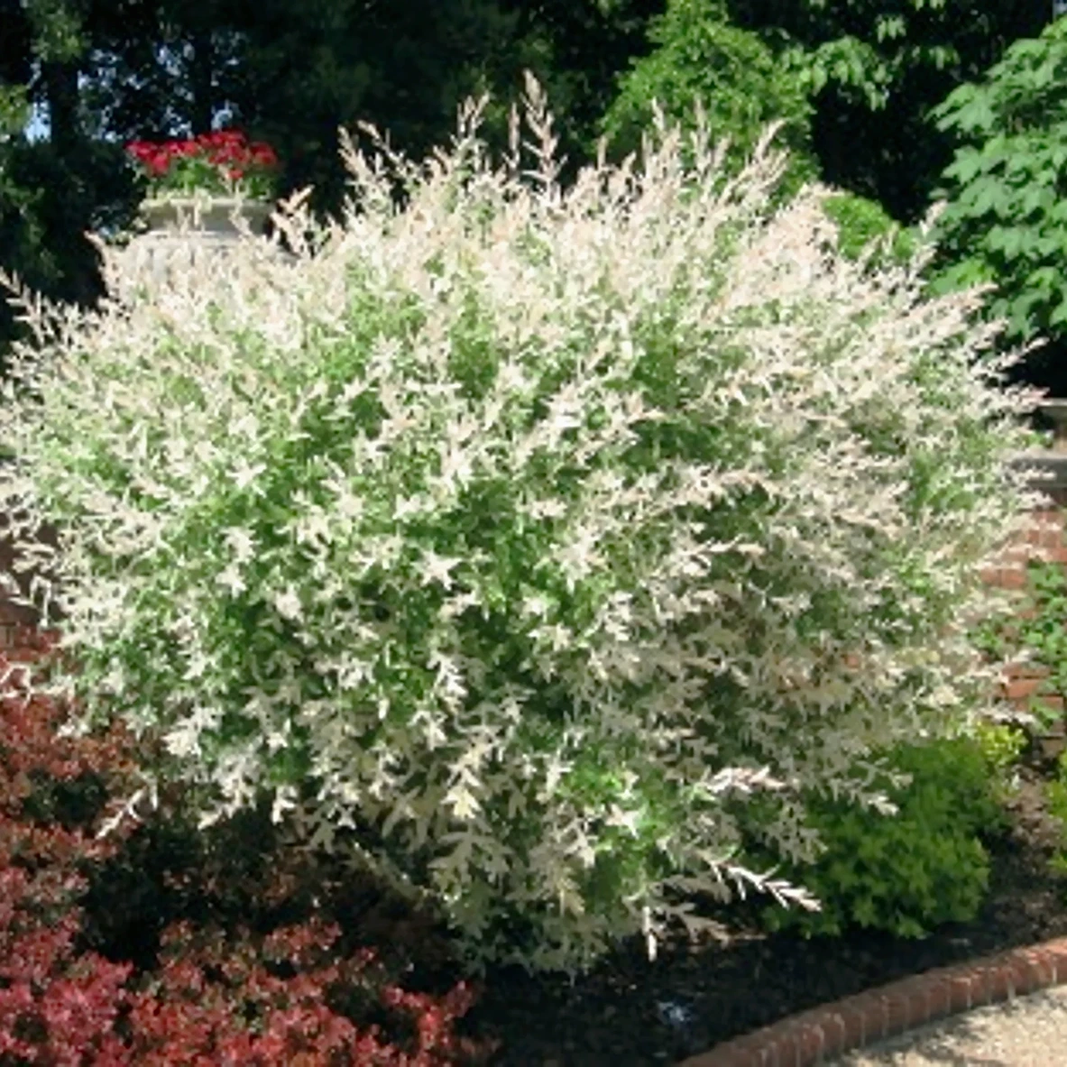 Holdridge Home & Garden