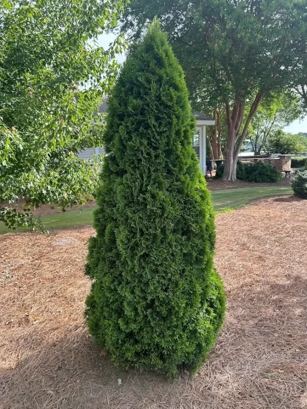 Holdridge Home & Garden