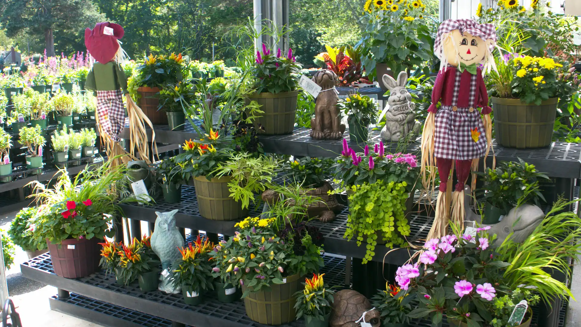 Holdridge Home & Garden