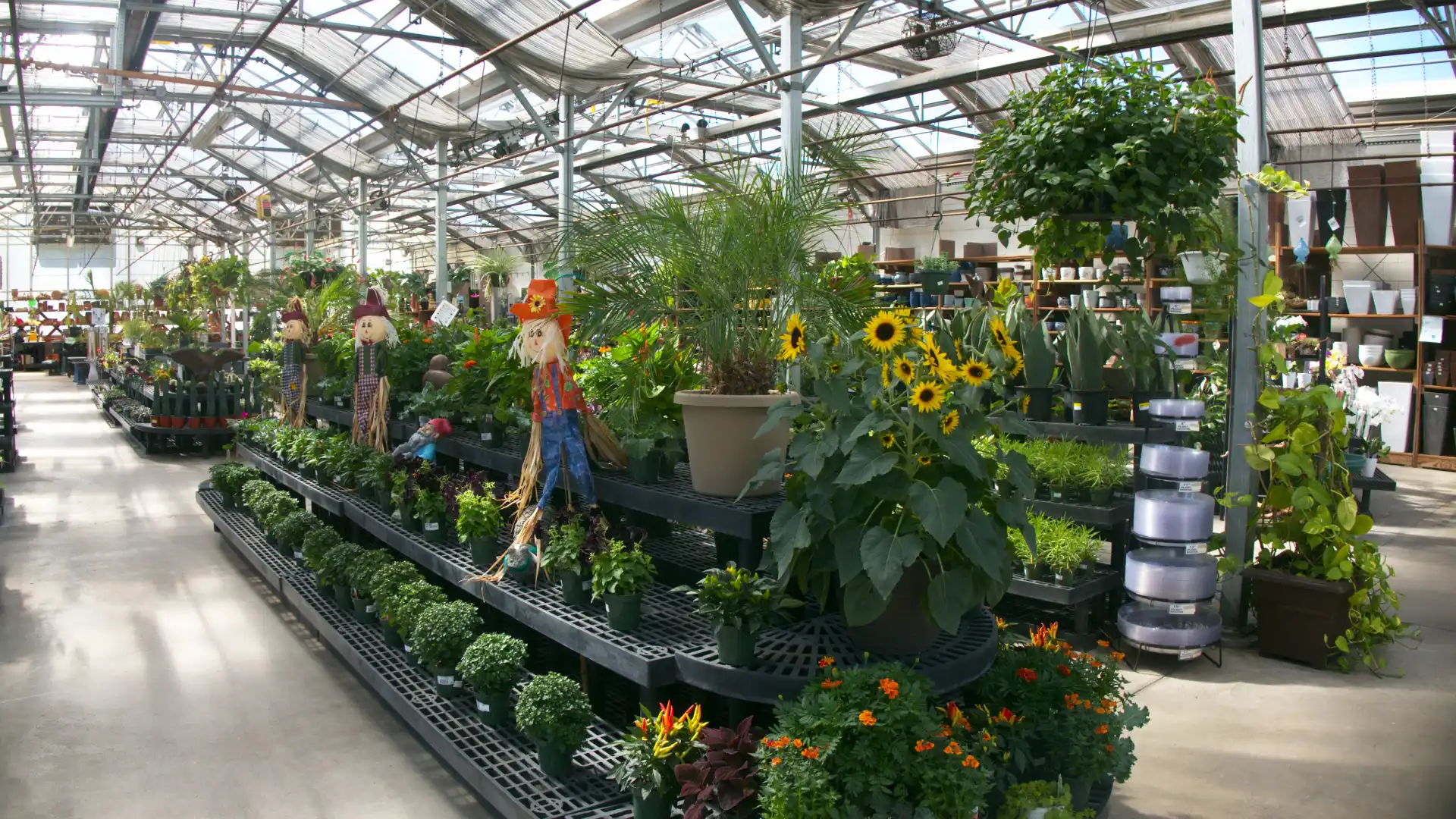 Holdridge Home & Garden
