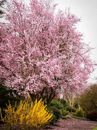 Holdridge Home & Garden