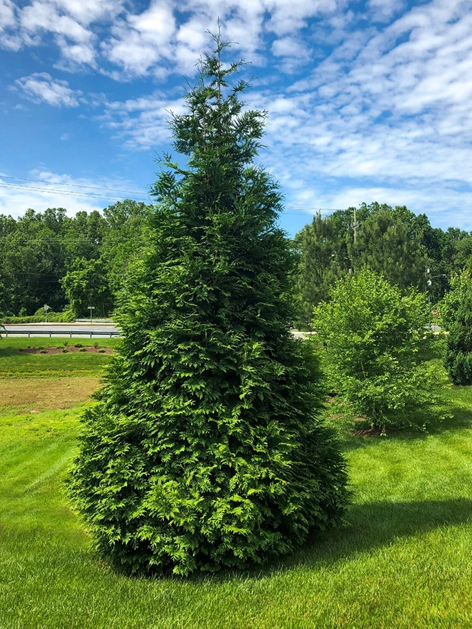 Holdridge Home & Garden