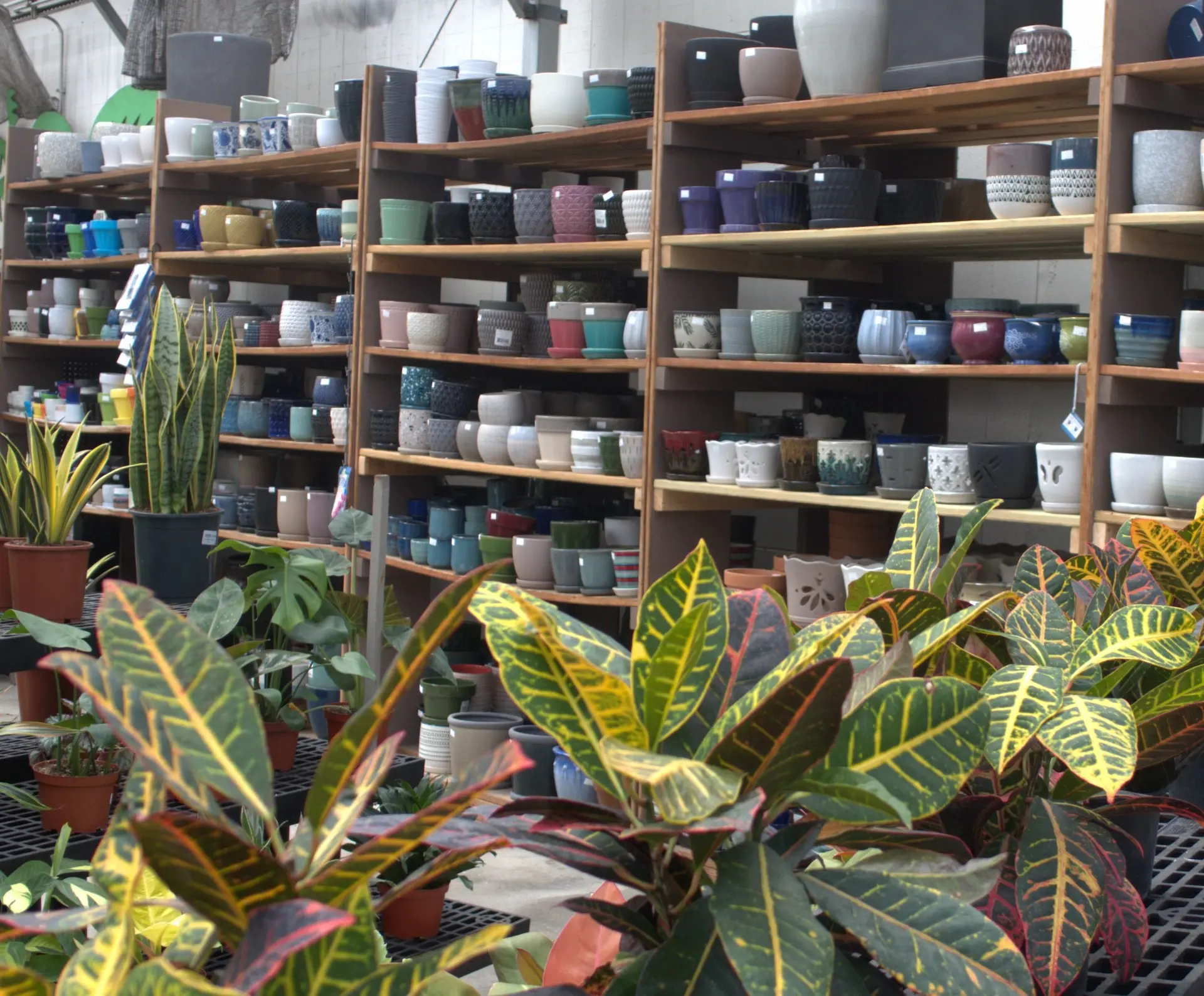 Holdridge Home & Garden