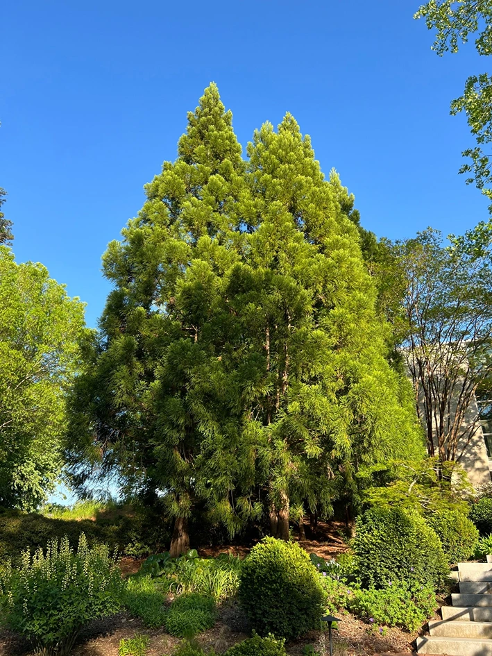 Holdridge Home & Garden