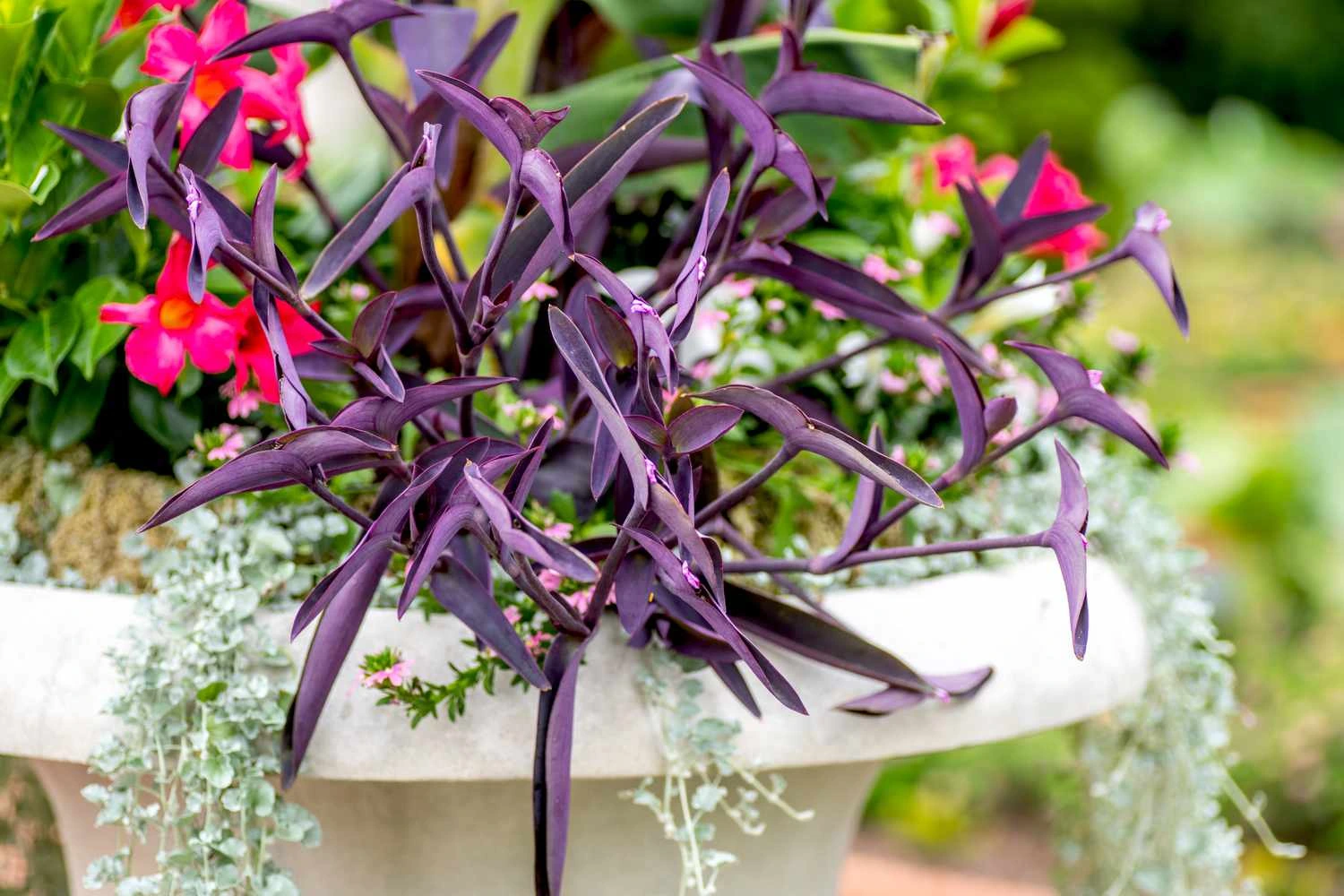 Holdridge Home & Garden
