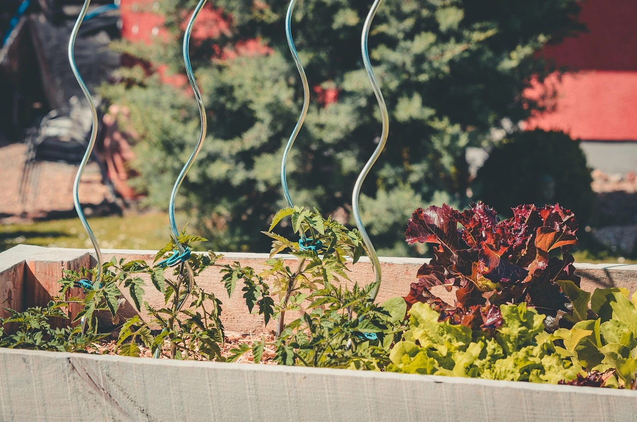 Holdridge Home & Garden