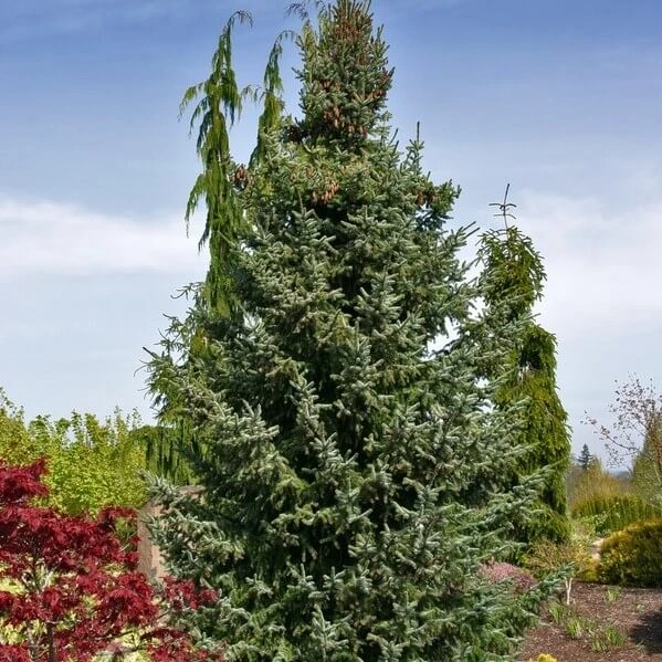 Holdridge Home & Garden