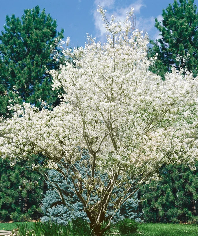 Holdridge Home & Garden
